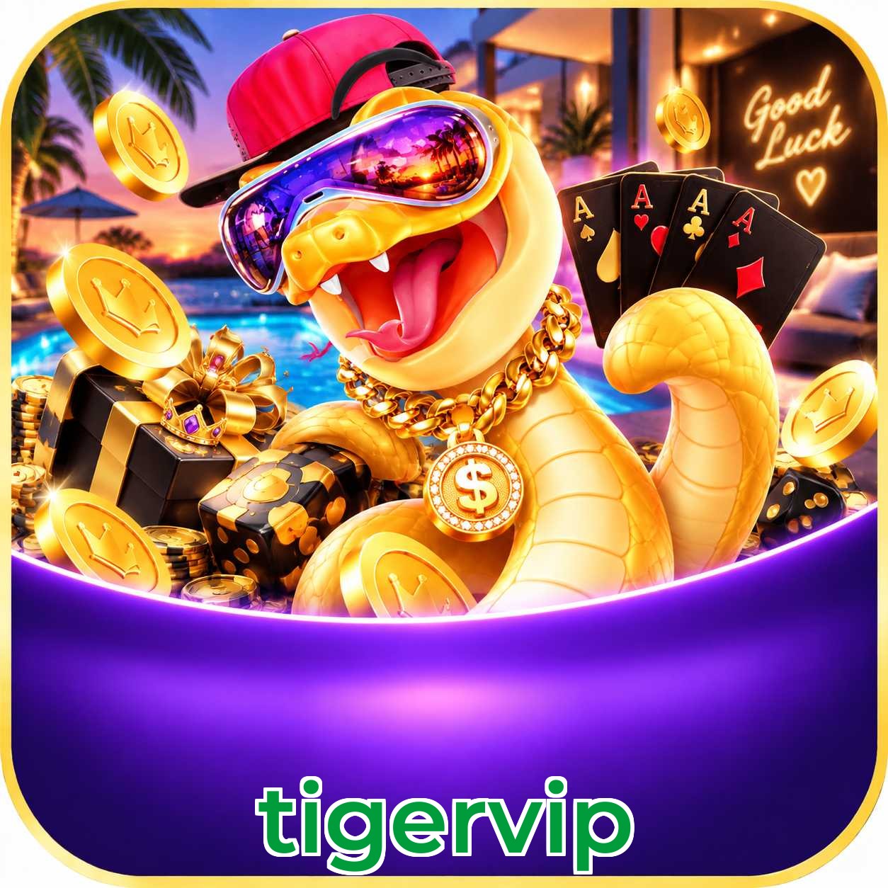 tigervip FAQ