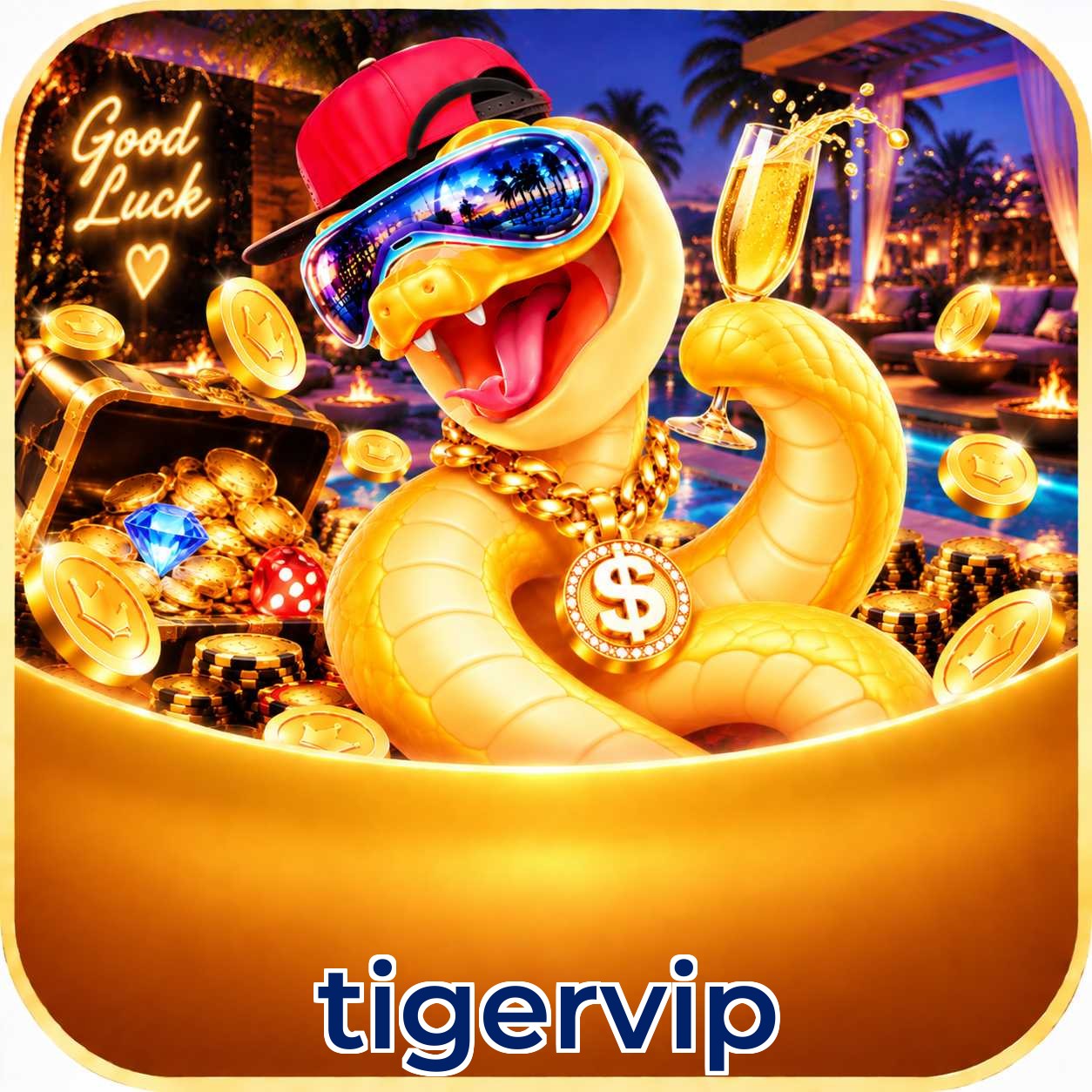 tigervip Installation Guide